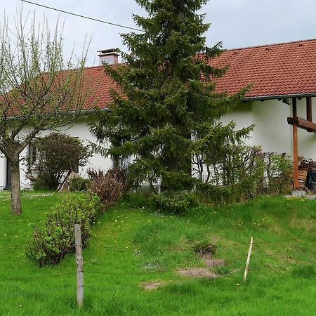 Cosy Apartment In Allg U With Garden Oy-Mittelberg Zewnętrze zdjęcie