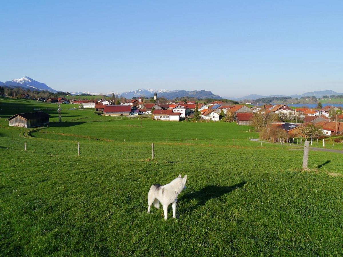 Cosy Apartment In Allg U With Garden Oy-Mittelberg Zewnętrze zdjęcie
